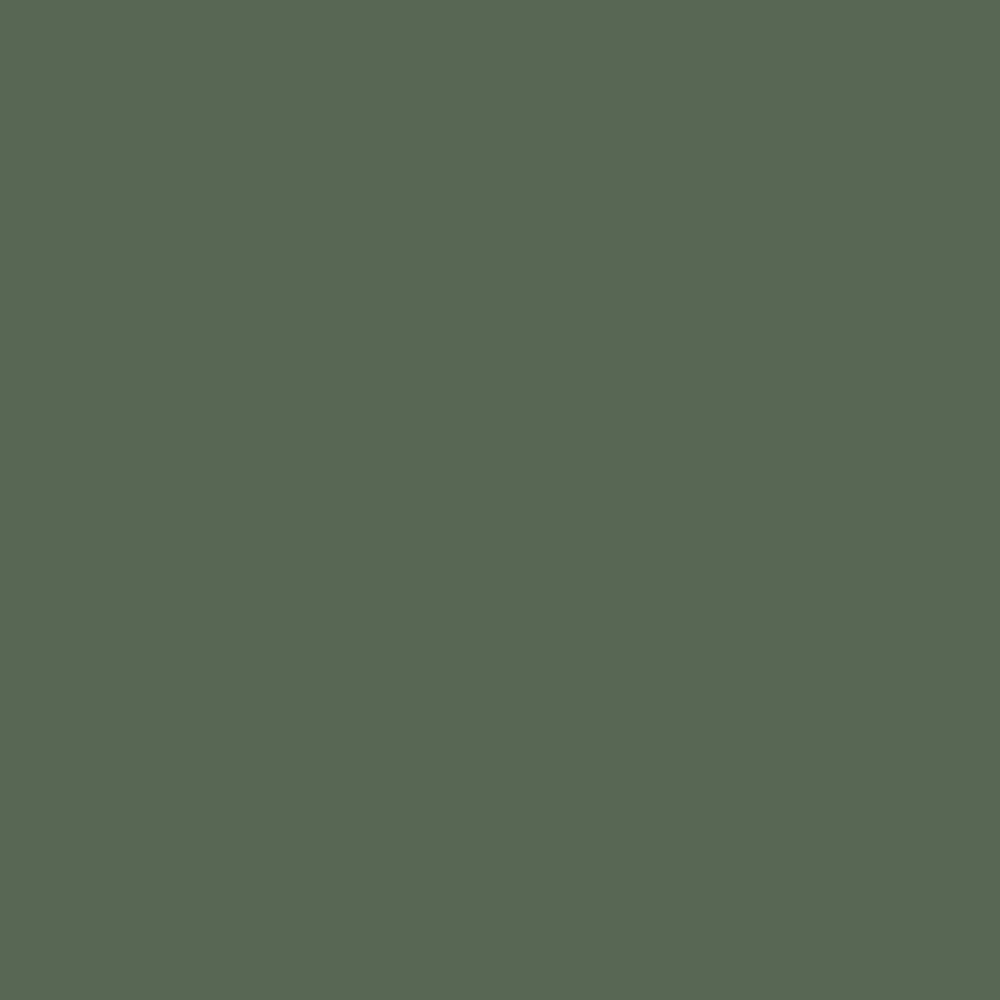 FARROW & BALL MODERN EGGSHELL 224 MINSTER GREEN 5L