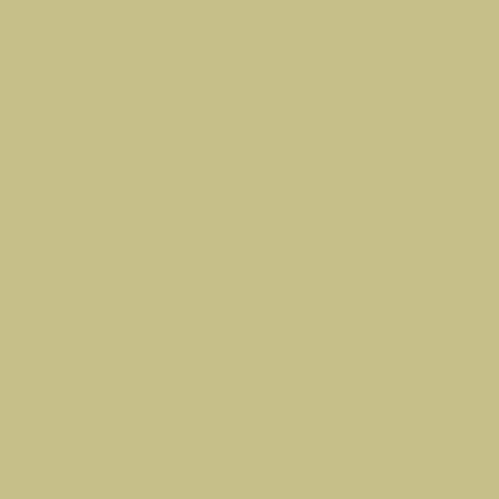 FARROW & BALL ESTATE EGGSHELL 251 CHURLISH GREEN 5L