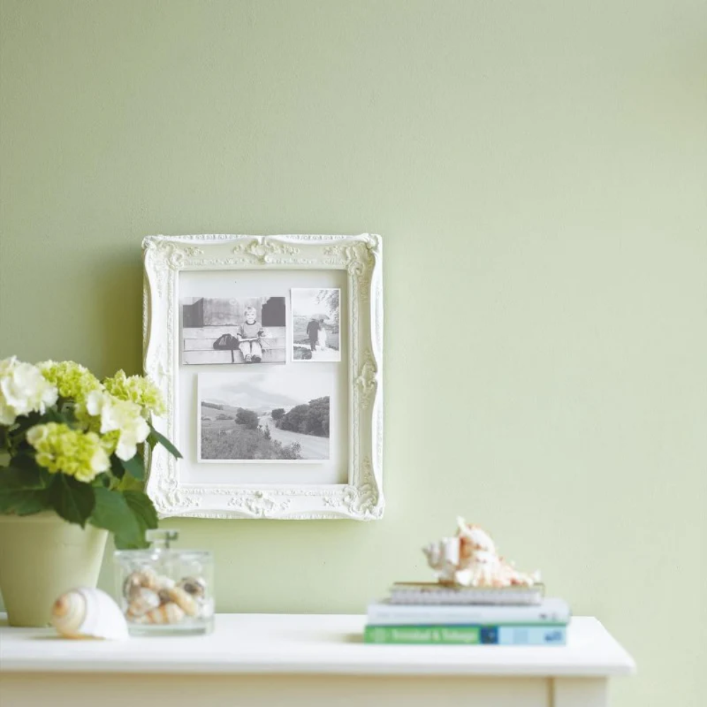 LITTLE GREENE INTELLIGENT MATT 85 KITCHEN GREEN 1L