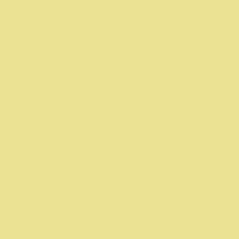 FARROW & BALL ESTATE EMULSION 9802 5L