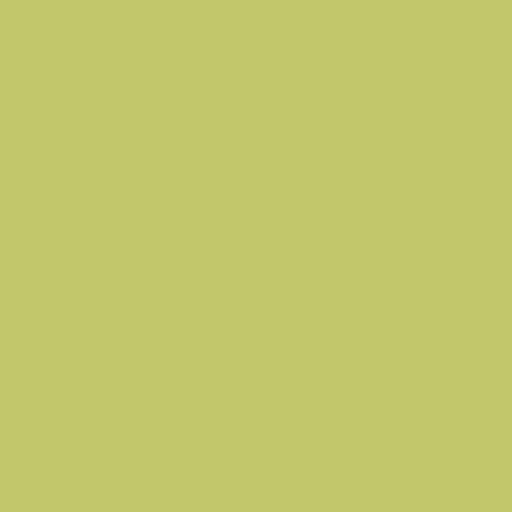 FARROW & BALL ESTATE EMULSION 9804 5L