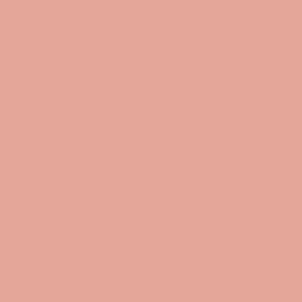 FARROW & BALL ESTATE EMULSION 9806 5L