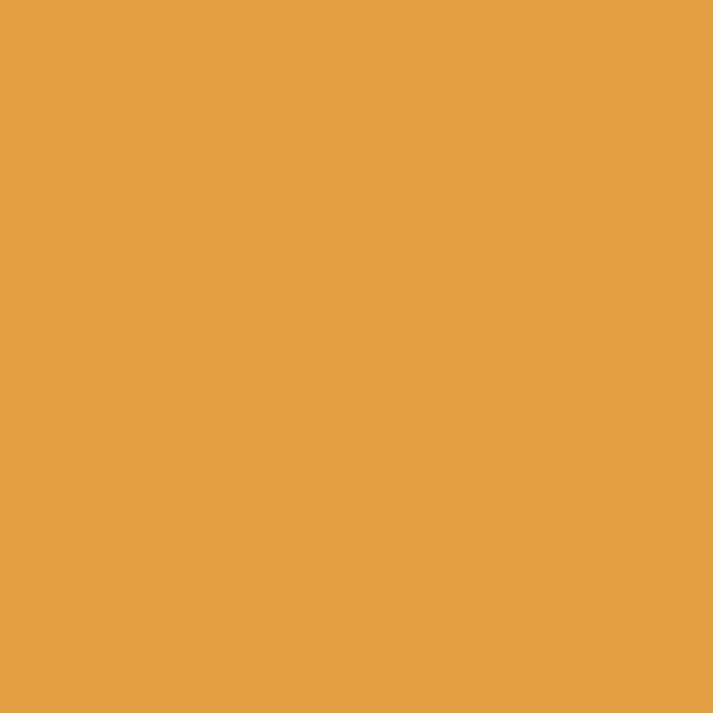 FARROW & BALL ESTATE EMULSION NMH DUTCH ORANGE W76 2.5L