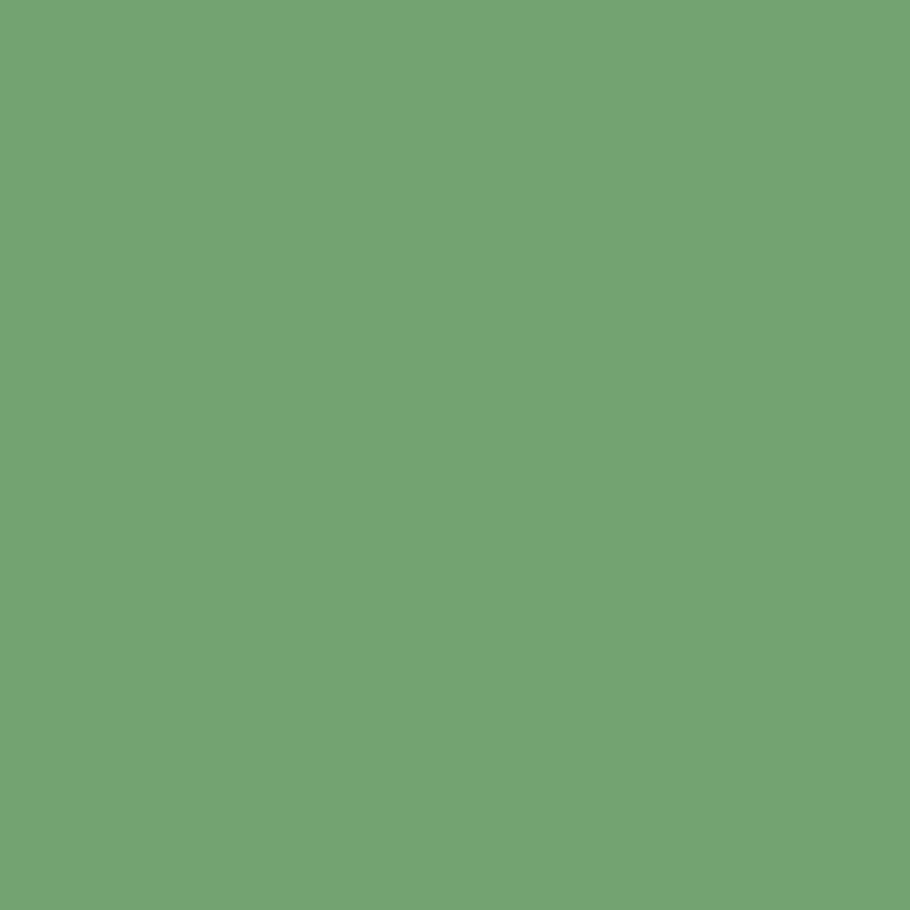 FARROW & BALL MODERN EGGSHELL NMH EMERALD GREEN W53 5L